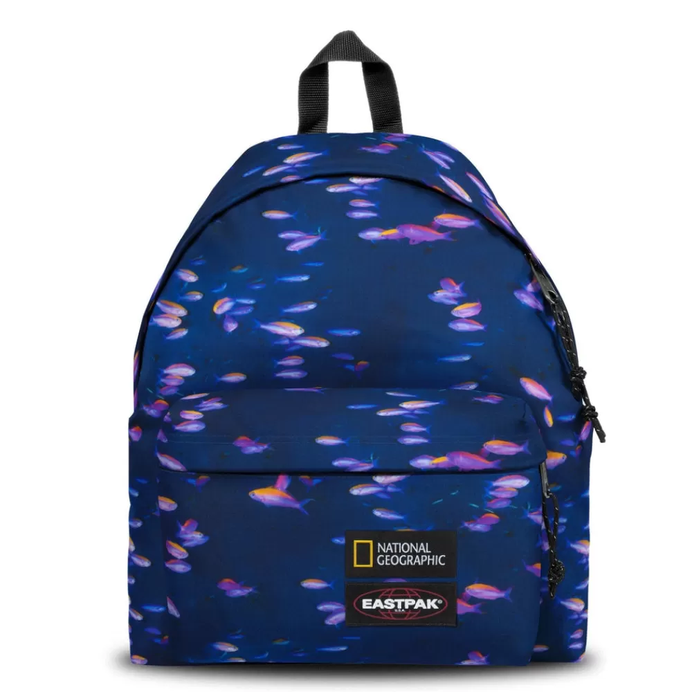 Eastpak Padded Pak'R National Geographic Fish- School Backpacks